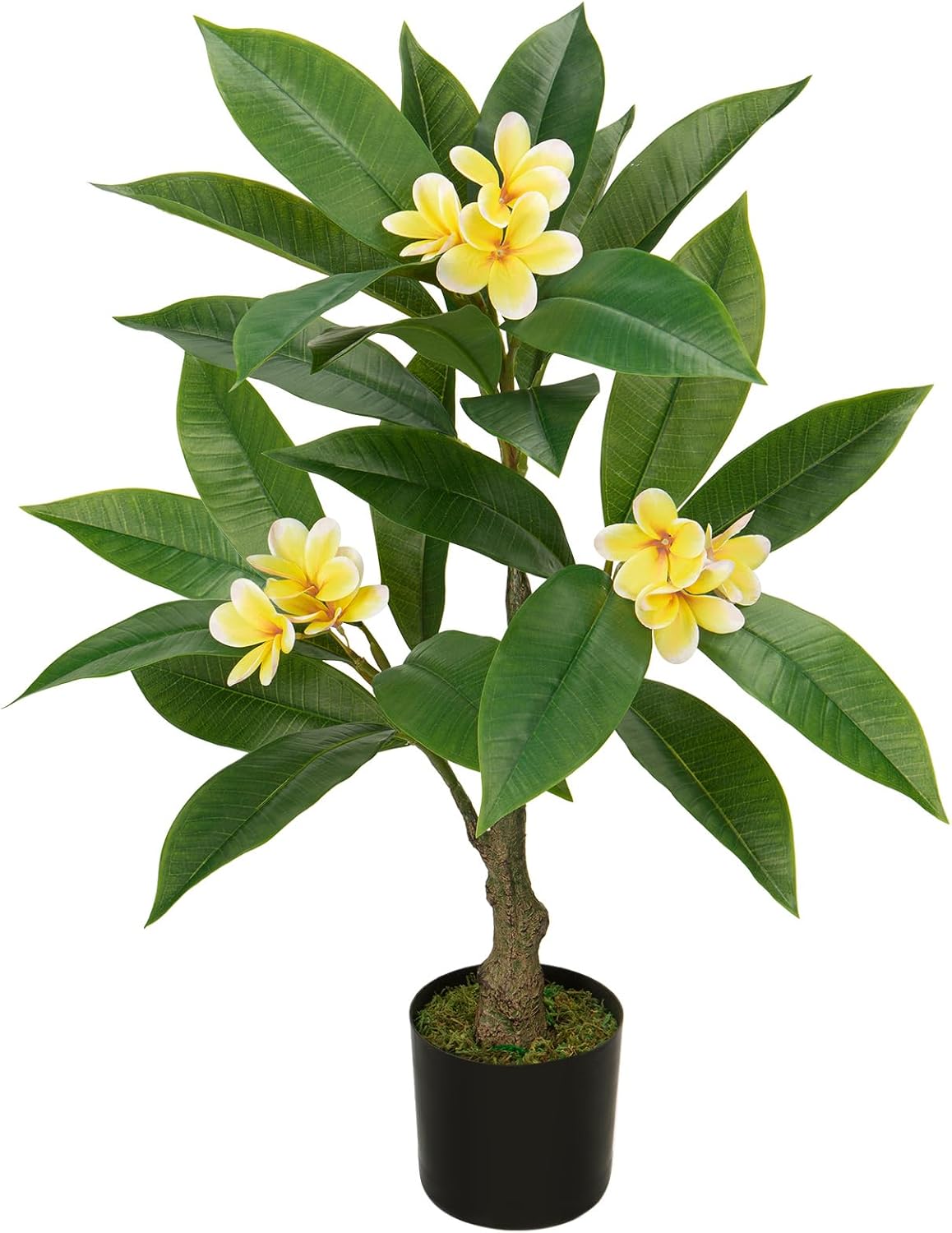 Artificial Plants Indoor 26.77'' Fake Tropical Plumeria Flowers Tree Plants in Black Pot, Hawaiian Yellow Plumeria Faux Frangipani Tree Floor Plant for Home Office Wedding Decor