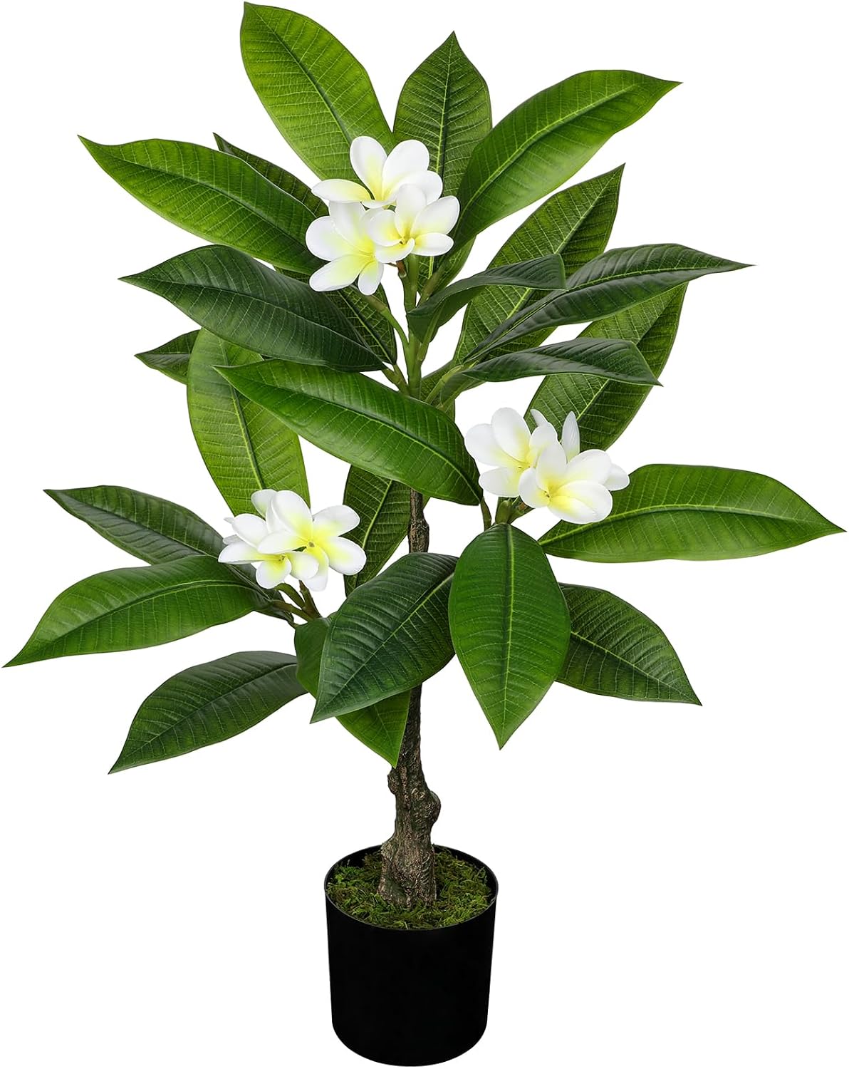 Artificial Plants Indoor 26.77'' Fake Tropical Plumeria Flowers Tree Plants in Black Pot, Hawaiian Yellow Plumeria Faux Frangipani Tree Floor Plant for Home Office Wedding Decor