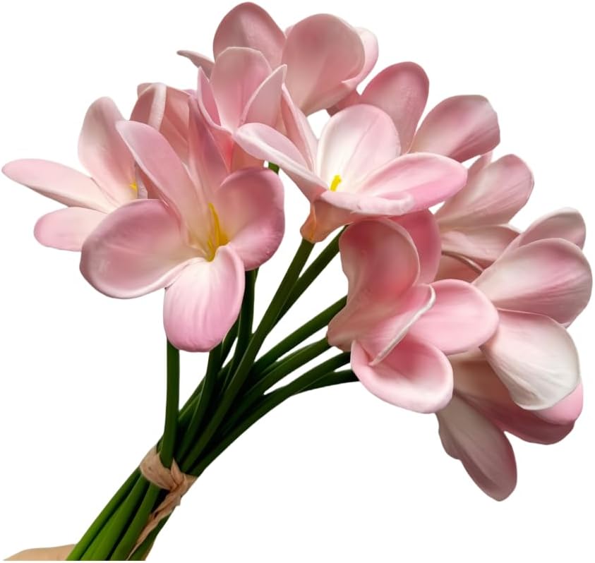 10 pcs White Artificial Plumeria Flowers with Stems, Real Touch,13inch