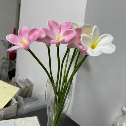 10 pcs White Artificial Plumeria Flowers with Stems, Real Touch,13inch