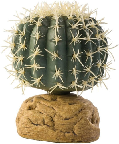 Barrel Cactus Terrarium Plant, Small