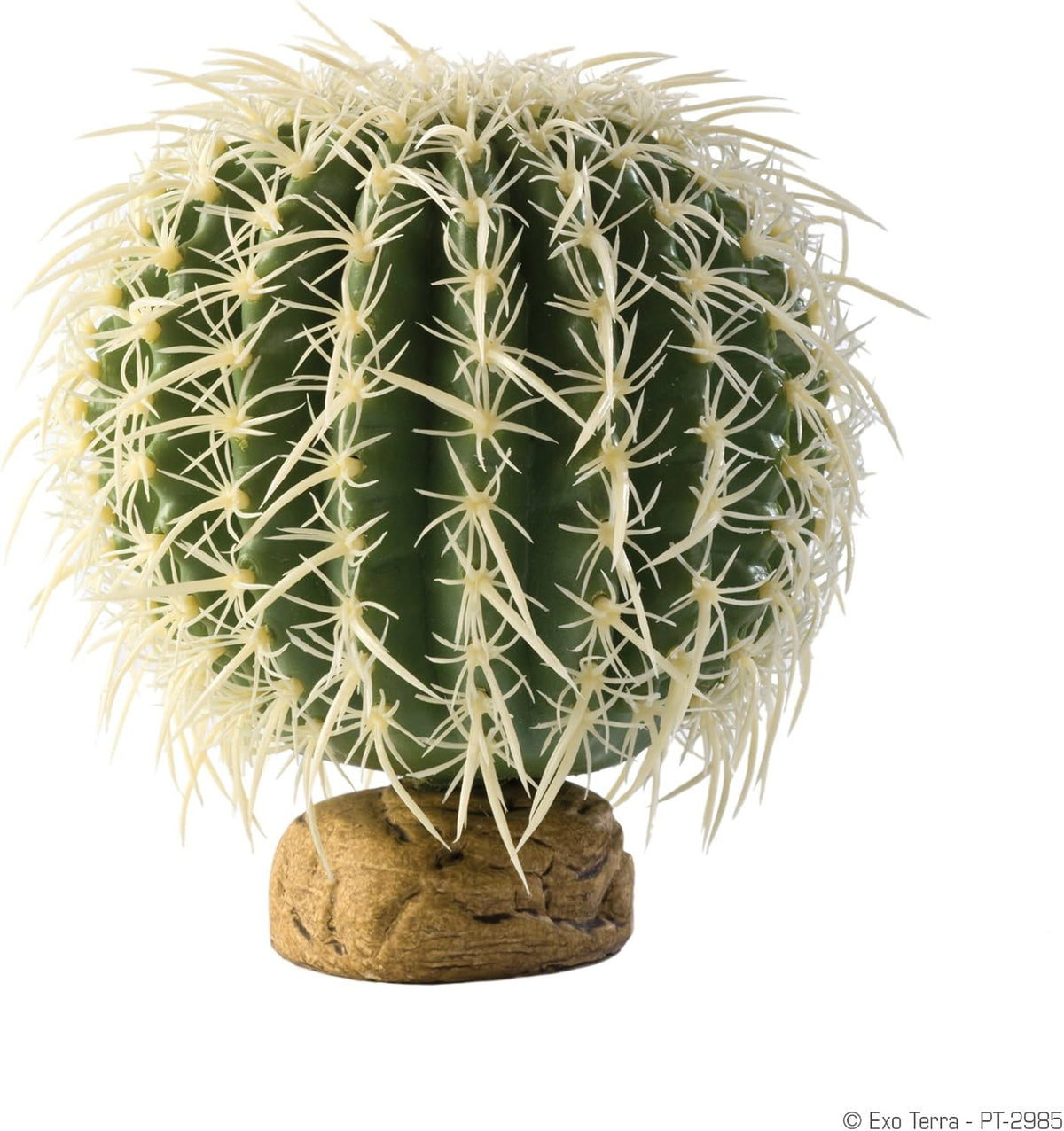 Barrel Cactus Terrarium Plant, Small
