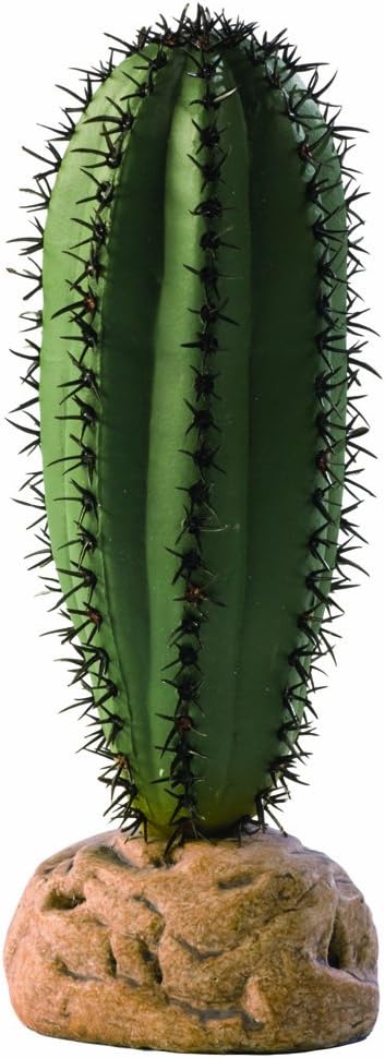 Barrel Cactus Terrarium Plant, Small