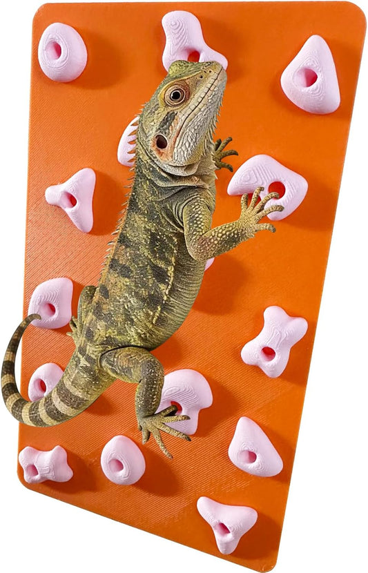 Mini Reptile Rock Climbing Wall, Terrarium Enclosure Enrichment & Habitat Décor for Bearded Dragons, Geckos, Lizards, Snakes, Tree Frogs and Small Amphibians (Red & Beige)