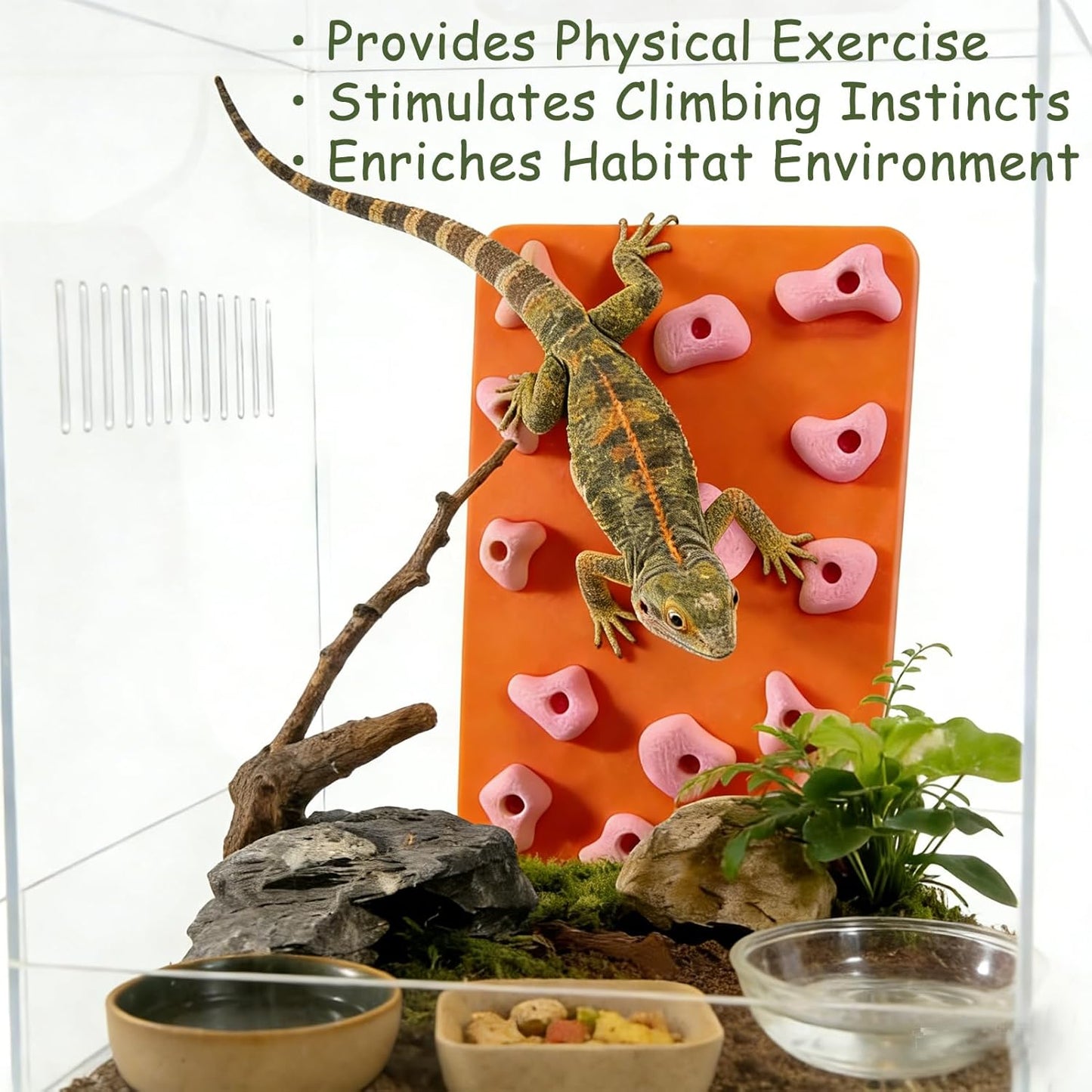 Mini Reptile Rock Climbing Wall, Terrarium Enclosure Enrichment & Habitat Décor for Bearded Dragons, Geckos, Lizards, Snakes, Tree Frogs and Small Amphibians (Red & Beige)