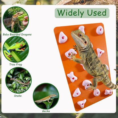 Mini Reptile Rock Climbing Wall, Terrarium Enclosure Enrichment & Habitat Décor for Bearded Dragons, Geckos, Lizards, Snakes, Tree Frogs and Small Amphibians (Red & Beige)