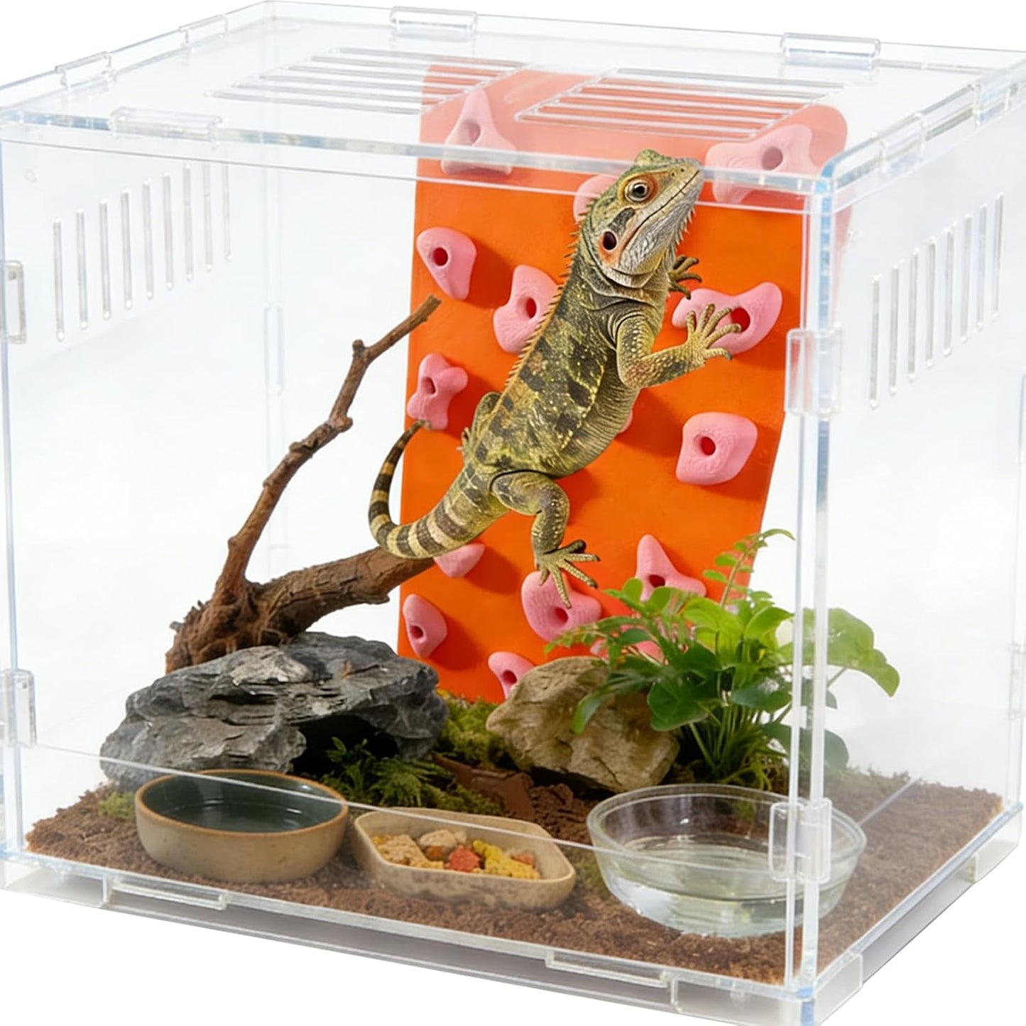 Mini Reptile Rock Climbing Wall, Terrarium Enclosure Enrichment & Habitat Décor for Bearded Dragons, Geckos, Lizards, Snakes, Tree Frogs and Small Amphibians (Red & Beige)