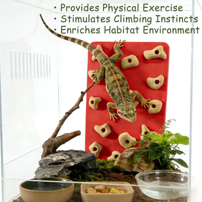 Mini Reptile Rock Climbing Wall, Terrarium Enclosure Enrichment & Habitat Décor for Bearded Dragons, Geckos, Lizards, Snakes, Tree Frogs and Small Amphibians (Red & Beige)