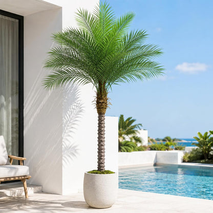 5ft Artificial Phoenix Palm Tree, Faux Coconut Silk Tropical Fake Palm Plant for Indoor Outdoor Home Office Patio Bathroom Pool Coastal Decor