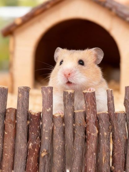 2 Pcs 11.8in Wooden Hamster Fence