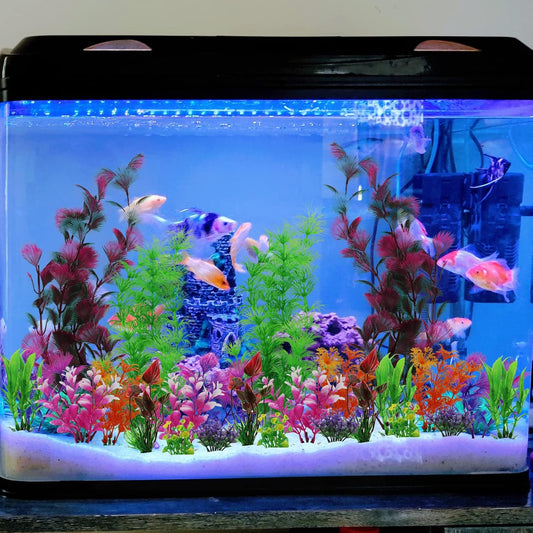 25 Pack Aquarium Plants, Fish Tank Decoration Colorful Artificial Fish Tank Decorations for Household and Office Aquarium Simulation, Small to Large and Tall