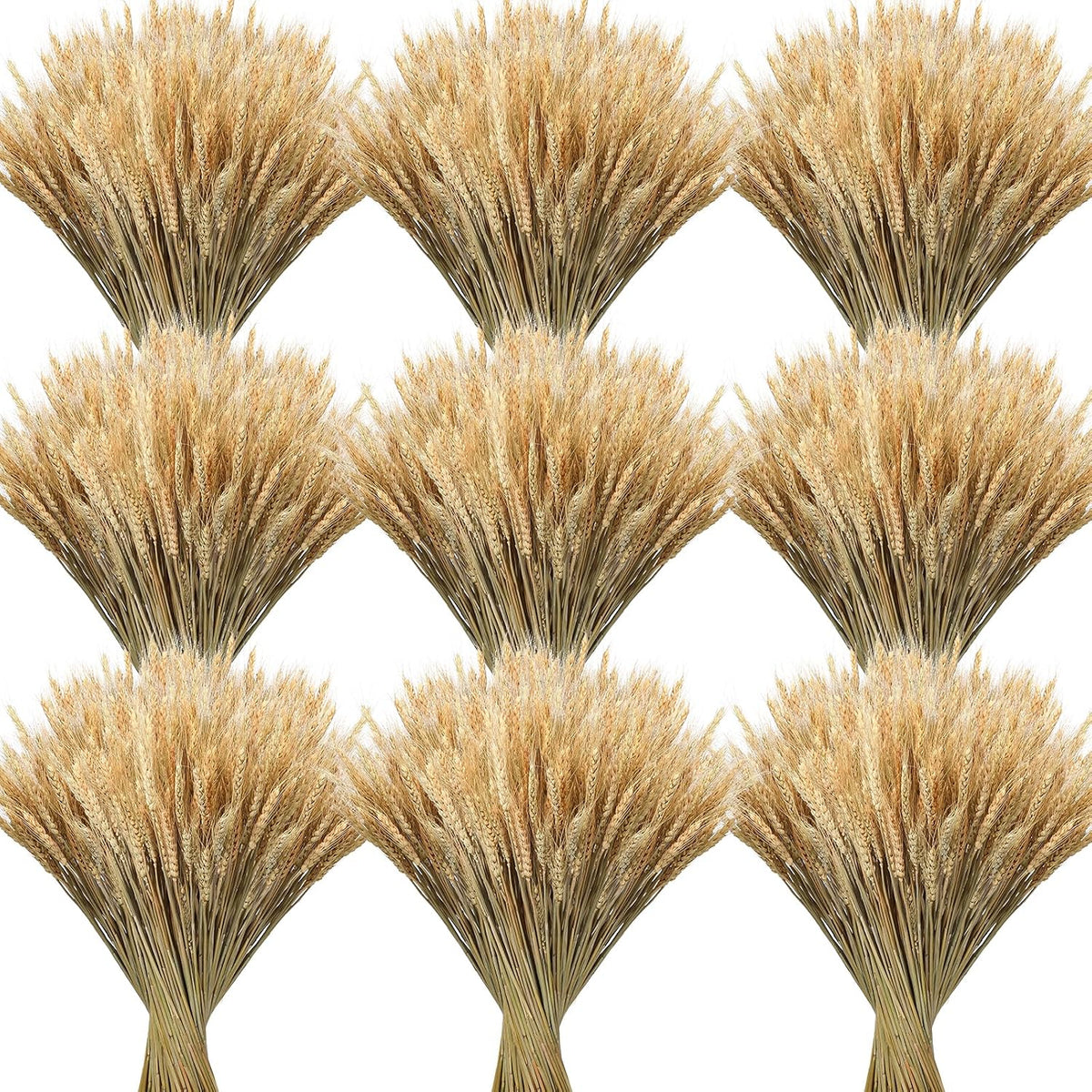 1200 Stems Dried Wheat Stalks for Decor Natural Wheat Grass Sheaves Bundle Farmhouse Artificial Flowers Arrangement for DIY Wedding Table Home Centerpieces Party Decorative (17.5 Inch)