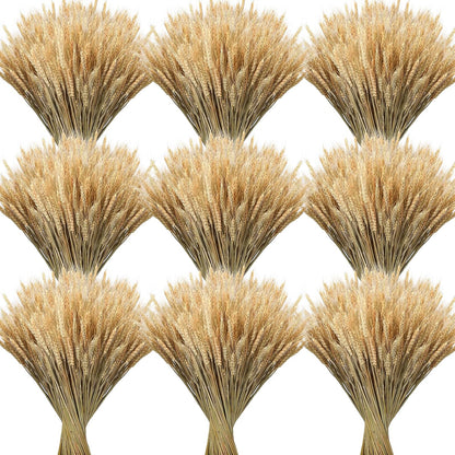 1200 Stems Dried Wheat Stalks for Decor Natural Wheat Grass Sheaves Bundle Farmhouse Artificial Flowers Arrangement for DIY Wedding Table Home Centerpieces Party Decorative (17.5 Inch)