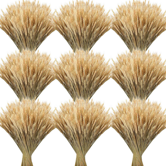 1200 Stems Dried Wheat Stalks for Decor Natural Wheat Grass Sheaves Bundle Farmhouse Artificial Flowers Arrangement for DIY Wedding Table Home Centerpieces Party Decorative (17.5 Inch)