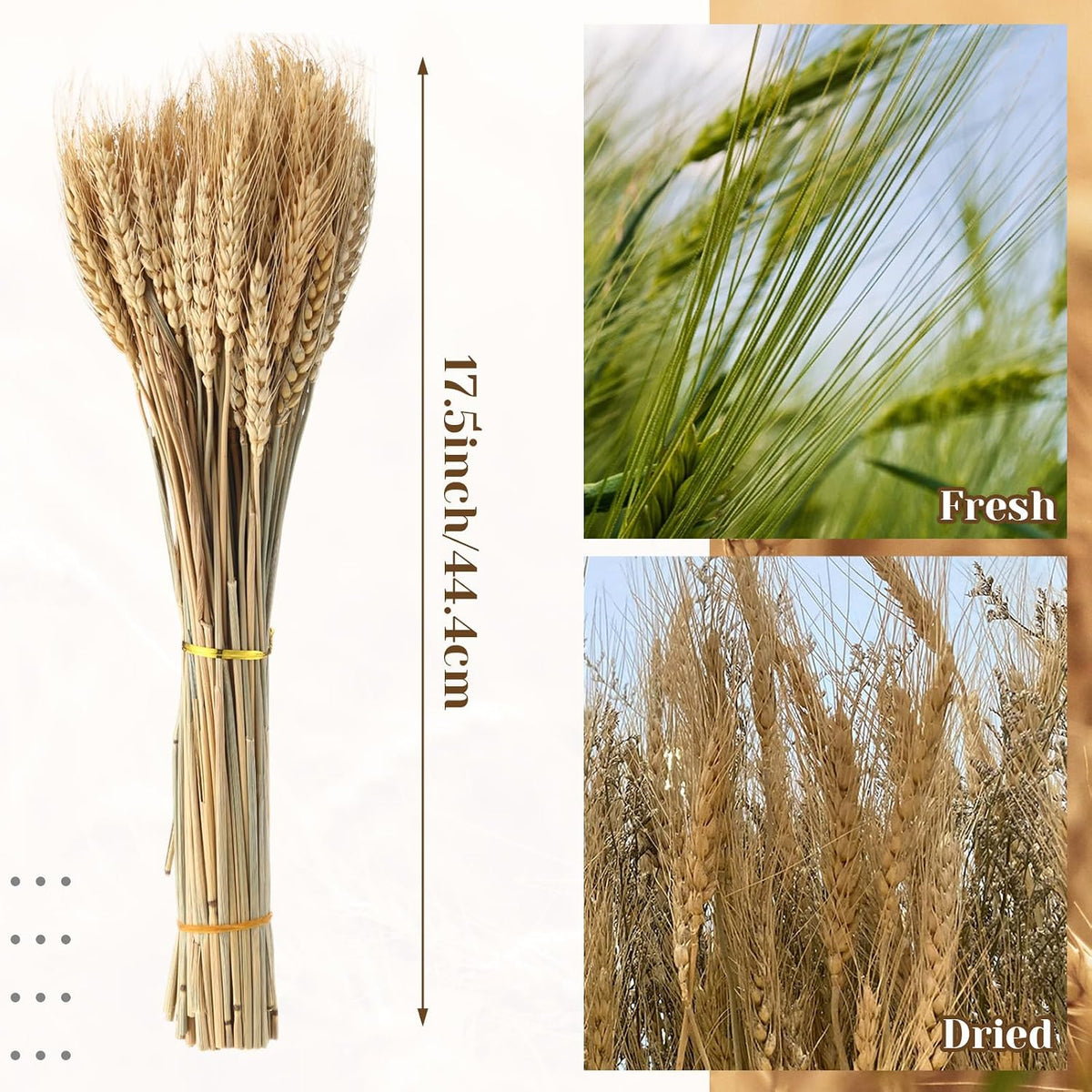 1200 Stems Dried Wheat Stalks for Decor Natural Wheat Grass Sheaves Bundle Farmhouse Artificial Flowers Arrangement for DIY Wedding Table Home Centerpieces Party Decorative (17.5 Inch)