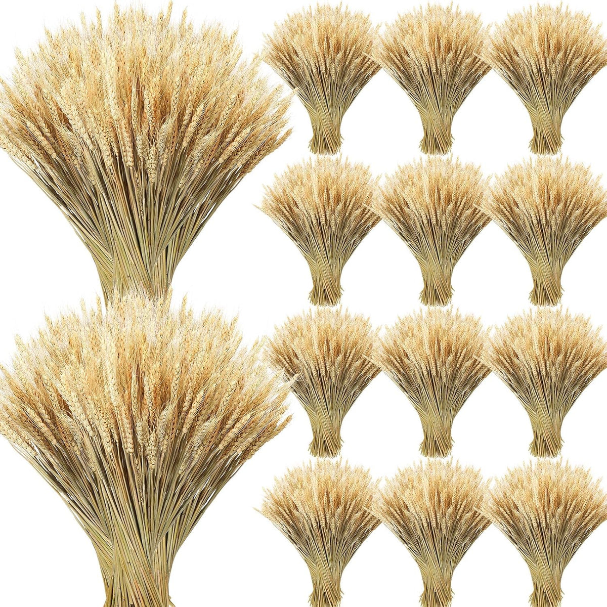1200 Stems Dried Wheat Stalks for Decor Natural Wheat Grass Sheaves Bundle Farmhouse Artificial Flowers Arrangement for DIY Wedding Table Home Centerpieces Party Decorative (17.5 Inch)