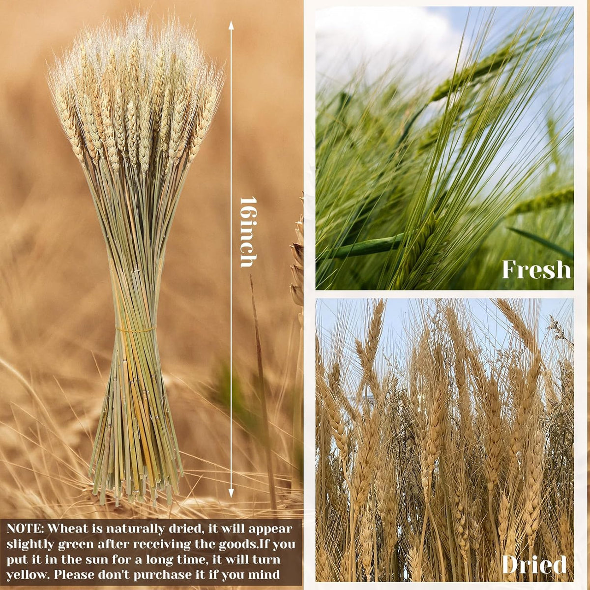 1200 Stems Dried Wheat Stalks for Decor Natural Wheat Grass Sheaves Bundle Farmhouse Artificial Flowers Arrangement for DIY Wedding Table Home Centerpieces Party Decorative (17.5 Inch)