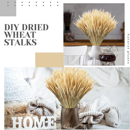 1200 Stems Dried Wheat Stalks for Decor Natural Wheat Grass Sheaves Bundle Farmhouse Artificial Flowers Arrangement for DIY Wedding Table Home Centerpieces Party Decorative (17.5 Inch)
