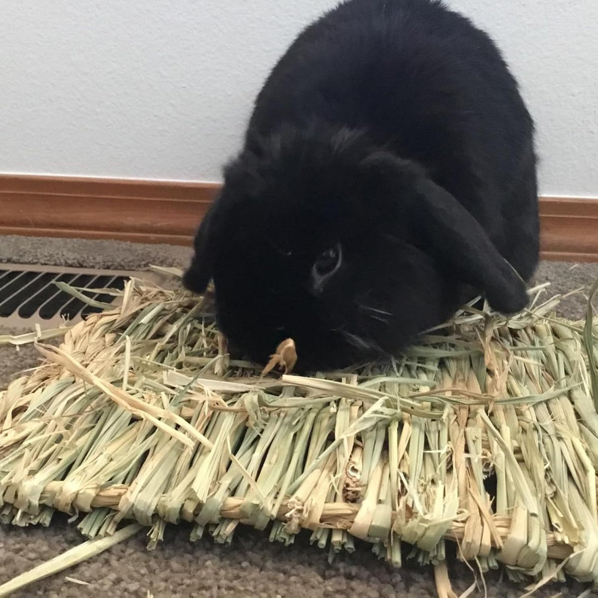 Straw Mats for Rabbits,11.0"x8.3" Natural Bunny Grass Mat,Handwoven Rabbit Hay Mat Small Animal Bedding Chewable & Cooling Mat - Eco-Friendly Cage Liner Nesting Toy