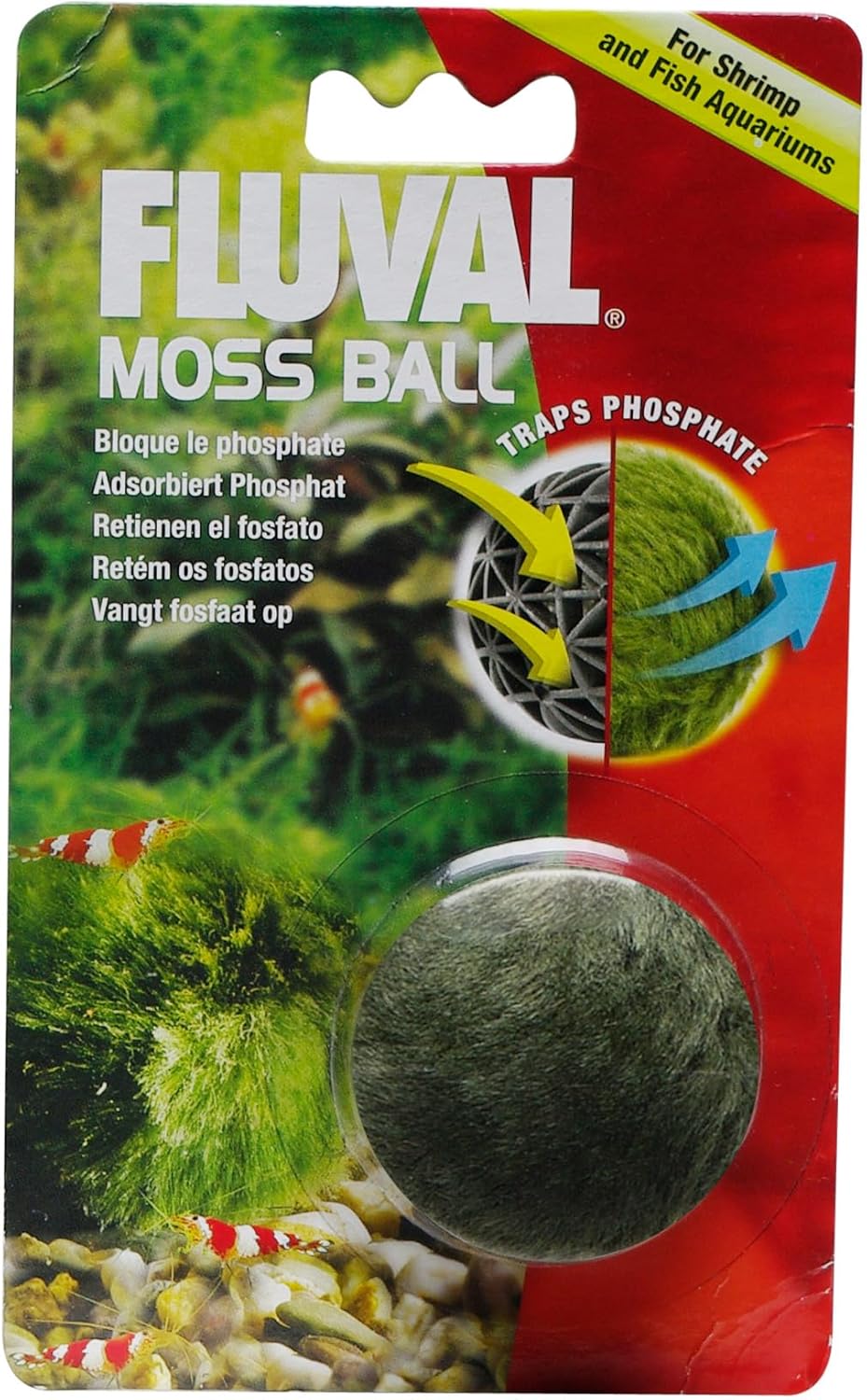 Articifical Moss Ball