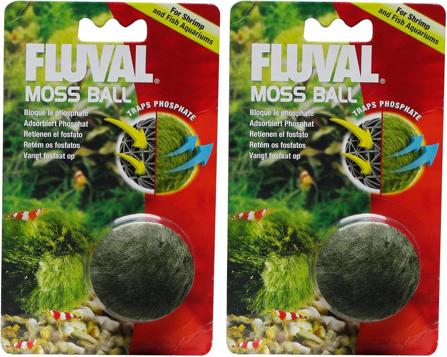 Articifical Moss Ball