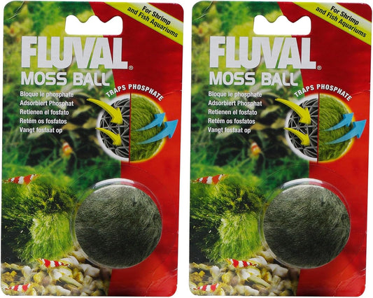 Articifical Moss Ball