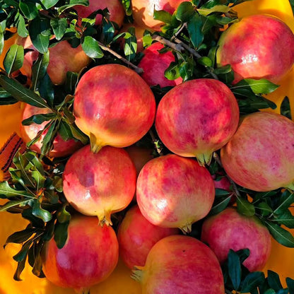 Dwarf Pomegranate Seeds for Planting Outdoor, 30pcs Pomegranate Tree Seeds Non-GMO Heirloom Sweet Edible Fruit, Sweet Juicy Fruits Plants in Your Home Garden