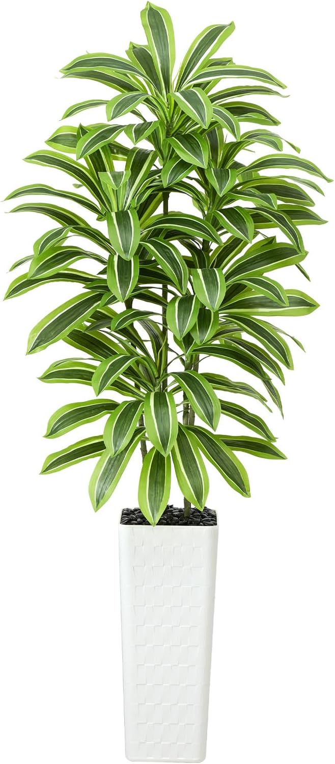 Artificial Dracaena Tree Indoor, 6FT Tall Fake Floor Plants with White Planter & Pebbles, Faux Silk Yucca Tree for Home Office Living Room Bedroom Farmhouse Modern Outdoor Topiary Tree