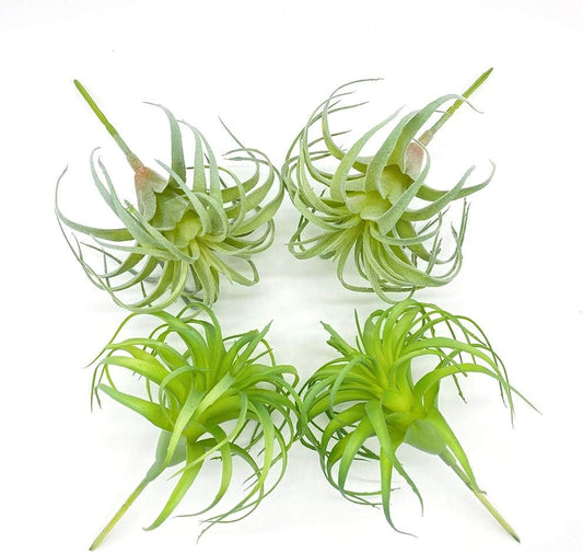 4 Pack Artificial Air Plants Faux Flocking Tillandsia Air Plants Bromeliads for Home Decor Terrarium Decoration Artificial Succulents Plants Arrangement