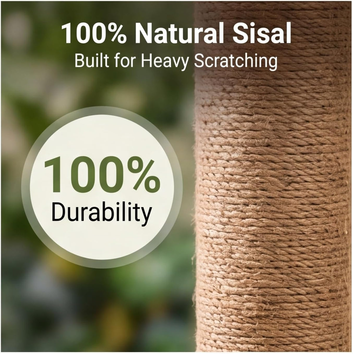 Areca Palm Cat Scratching Post Cat Scratcher Tower with 2-Layer Ball Tracks