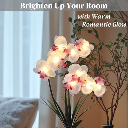 Orchid Lamp-LED Lighted Orchid Arrangements,Pre Lit Artificial Orchid,Light Up Flower Lights, Faux Orchid Phalaenopsis Arrangement (White)