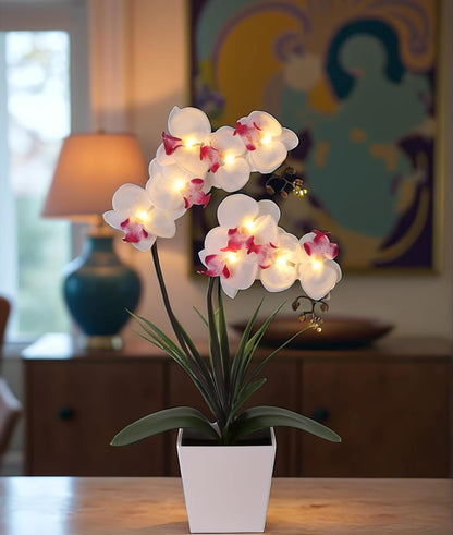 Orchid Lamp-LED Lighted Orchid Arrangements,Pre Lit Artificial Orchid,Light Up Flower Lights, Faux Orchid Phalaenopsis Arrangement (White)