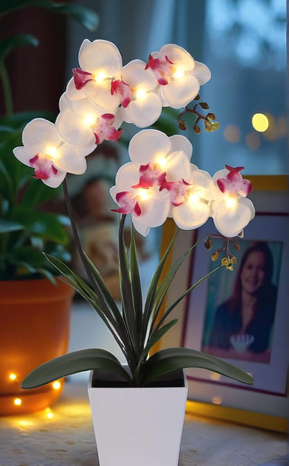 Orchid Lamp-LED Lighted Orchid Arrangements,Pre Lit Artificial Orchid,Light Up Flower Lights, Faux Orchid Phalaenopsis Arrangement (White)