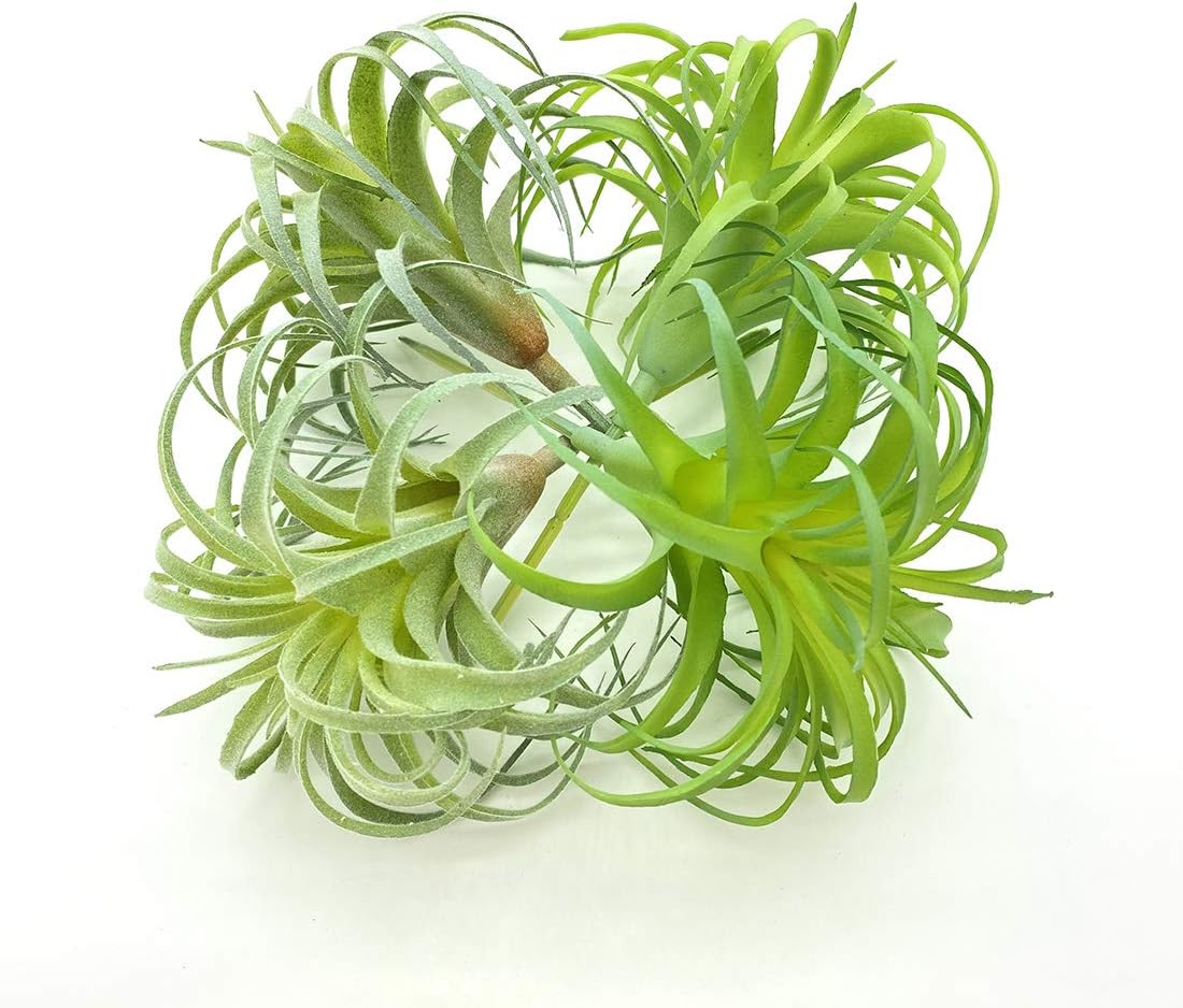 4 Pack Artificial Air Plants Faux Flocking Tillandsia Air Plants Bromeliads for Home Decor Terrarium Decoration Artificial Succulents Plants Arrangement