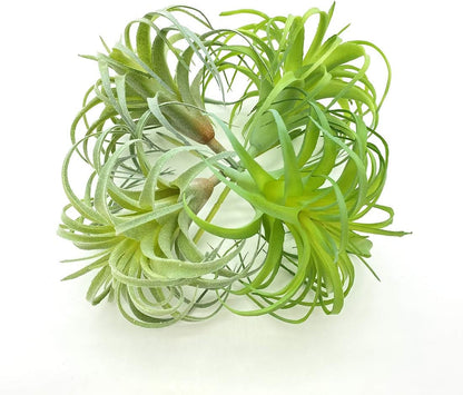 4 Pack Artificial Air Plants Faux Flocking Tillandsia Air Plants Bromeliads for Home Decor Terrarium Decoration Artificial Succulents Plants Arrangement