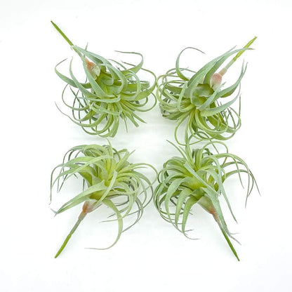 4 Pack Artificial Air Plants Faux Flocking Tillandsia Air Plants Bromeliads for Home Decor Terrarium Decoration Artificial Succulents Plants Arrangement