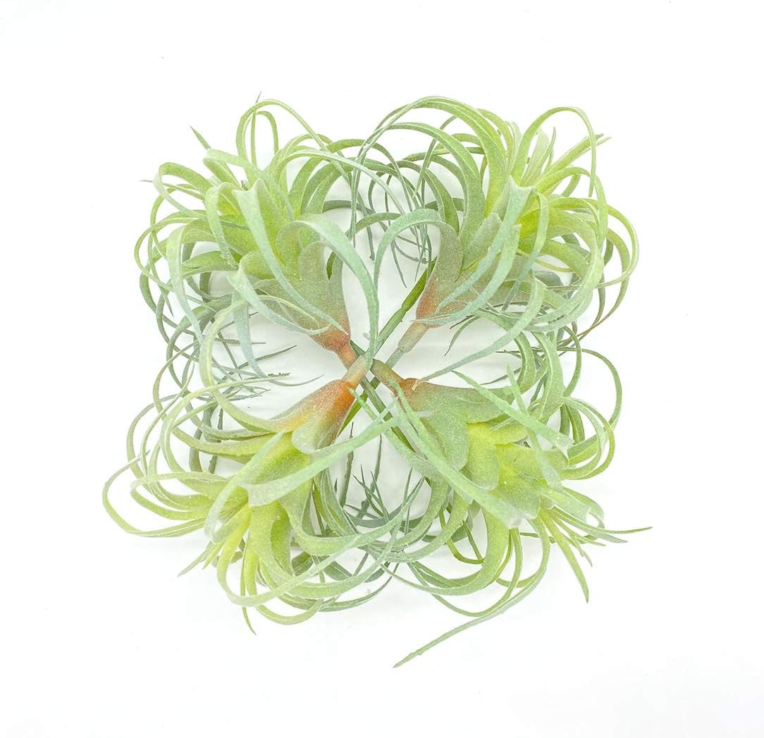 4 Pack Artificial Air Plants Faux Flocking Tillandsia Air Plants Bromeliads for Home Decor Terrarium Decoration Artificial Succulents Plants Arrangement
