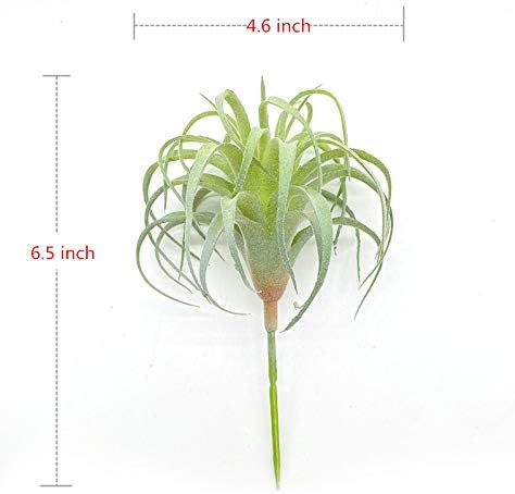 4 Pack Artificial Air Plants Faux Flocking Tillandsia Air Plants Bromeliads for Home Decor Terrarium Decoration Artificial Succulents Plants Arrangement