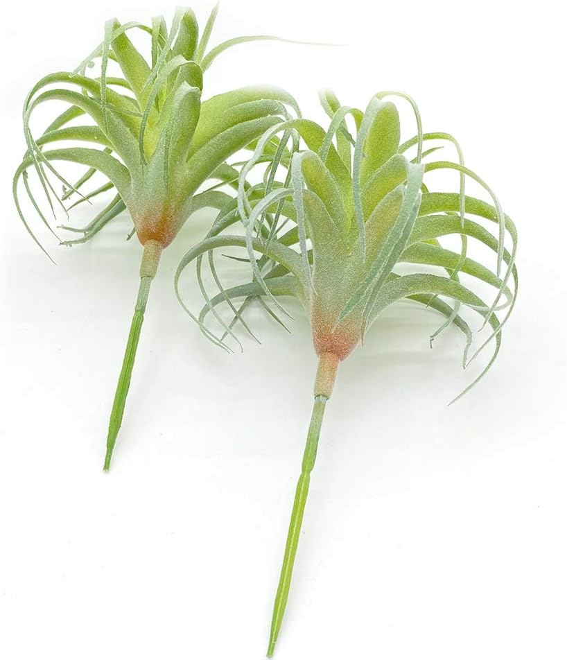 4 Pack Artificial Air Plants Faux Flocking Tillandsia Air Plants Bromeliads for Home Decor Terrarium Decoration Artificial Succulents Plants Arrangement