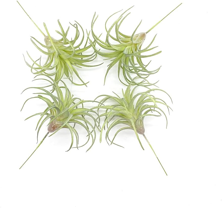 4 Pack Artificial Air Plants Faux Flocking Tillandsia Air Plants Bromeliads for Home Decor Terrarium Decoration Artificial Succulents Plants Arrangement