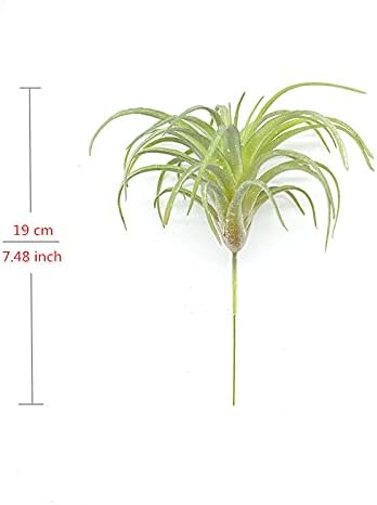 4 Pack Artificial Air Plants Faux Flocking Tillandsia Air Plants Bromeliads for Home Decor Terrarium Decoration Artificial Succulents Plants Arrangement