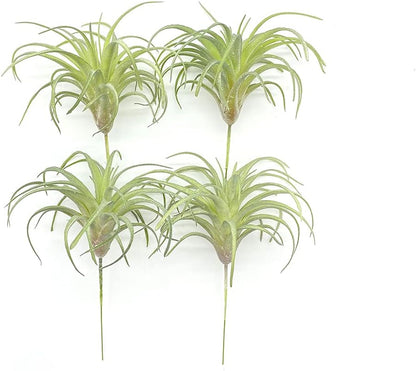 4 Pack Artificial Air Plants Faux Flocking Tillandsia Air Plants Bromeliads for Home Decor Terrarium Decoration Artificial Succulents Plants Arrangement