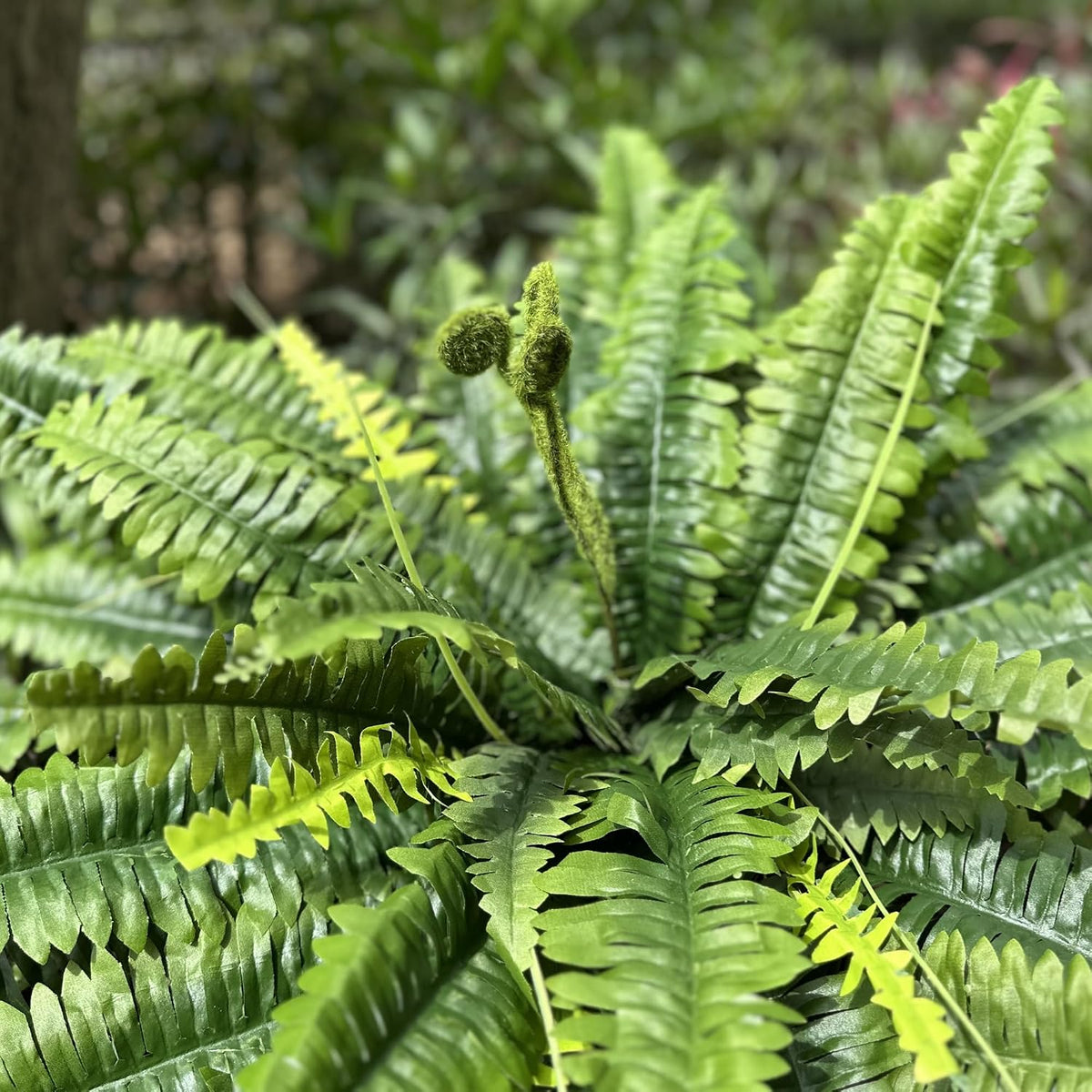 Artificial Ferns for Outdoors & Indoors, 45in Large Fake Ferns w/55 Fronds
