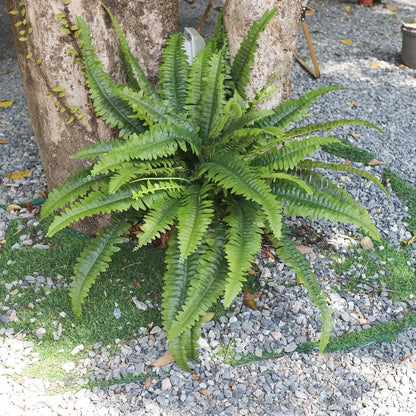 Artificial Ferns for Outdoors & Indoors, 45in Large Fake Ferns w/55 Fronds
