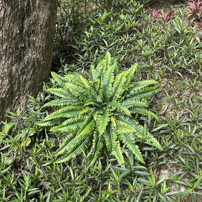 Artificial Ferns for Outdoors & Indoors, 45in Large Fake Ferns w/55 Fronds