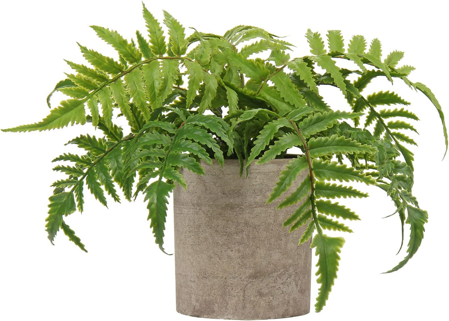 Small Fake Plant Potted Plants Artificial Decor Plastic Asparagus Ferns Plant Faux Plants in Pots for Home Living Room Bedroom Desk Shelf Farmhouse Decoration