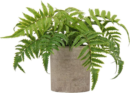 Small Fake Plant Potted Plants Artificial Decor Plastic Asparagus Ferns Plant Faux Plants in Pots for Home Living Room Bedroom Desk Shelf Farmhouse Decoration