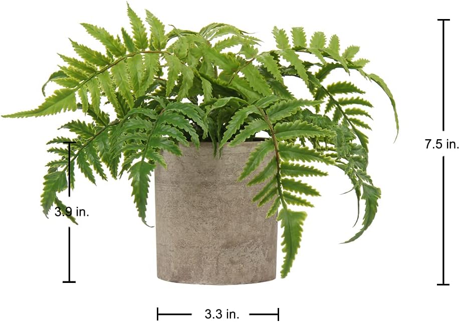 Small Fake Plant Potted Plants Artificial Decor Plastic Asparagus Ferns Plant Faux Plants in Pots for Home Living Room Bedroom Desk Shelf Farmhouse Decoration