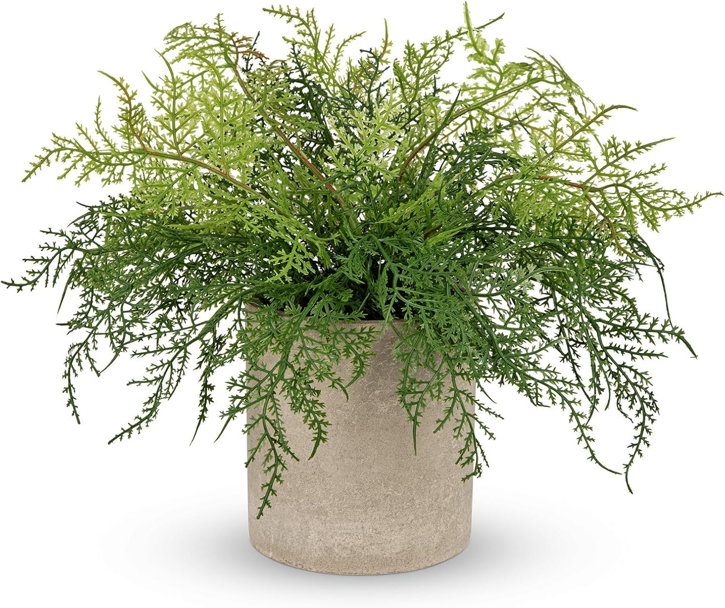 Small Fake Plant Potted Plants Artificial Decor Plastic Asparagus Ferns Plant Faux Plants in Pots for Home Living Room Bedroom Desk Shelf Farmhouse Decoration