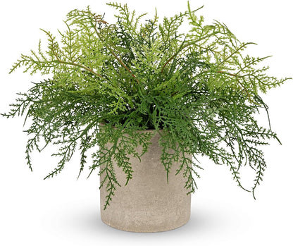 Small Fake Plant Potted Plants Artificial Decor Plastic Asparagus Ferns Plant Faux Plants in Pots for Home Living Room Bedroom Desk Shelf Farmhouse Decoration